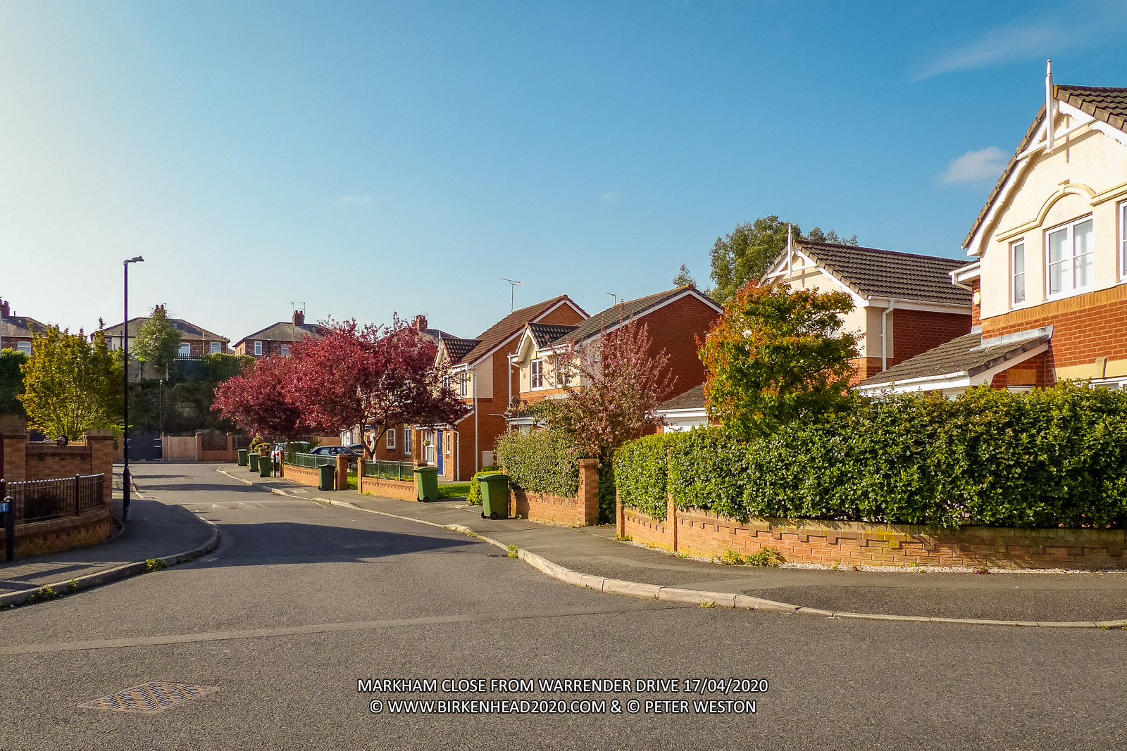 Markham Grove